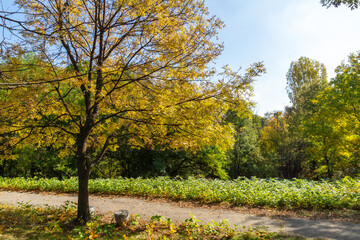 Landscape of South Park in city of Sofia, Bulgaria