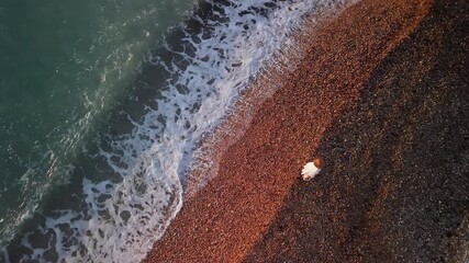Aerial view of a middle-aged woman in a white dress and straw hat walking alone along a pebbled beach at sunrise, with soft waves touching the shore. - Powered by Adobe