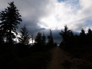 Harsh scenic landscape on a mountain range of Jeseniky mountains
