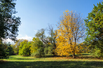 Landscape of South Park in city of Sofia, Bulgaria