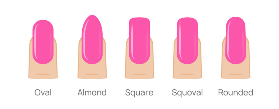 Nail shapes manicure vector art. Fingernail shape french form design fashion salon