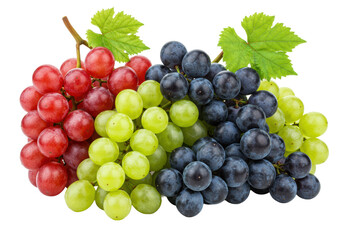 Fototapeta premium Fresh, ripe red, green, and dark purple grapes with leaves, plump and unblemished, isolated on a transparent background with soft studio lighting, natural abundance and freshness concept.