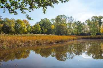 Obraz premium Landscape of South Park in city of Sofia, Bulgaria