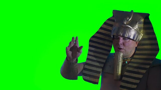 Pharaoh of Egypt The man in the suit Ancient Egyptian pharaoh Tutankhamun Ramses on a green background