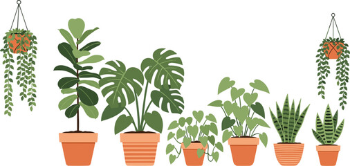 Houseplant illustration set, terracotta potted greenery, Monstera and succulent clipart, hanging plant art, indoor garden decor, botanical asset packHouseplant illustration set,  