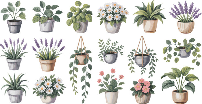 Botanical plant illustration set, flowering and leafy houseplants, terracotta pot clipart, indoor garden decor, hanging greenery art, nature asset pack