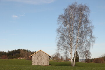 Obraz premium A small wooden building sits in a field next to a tree