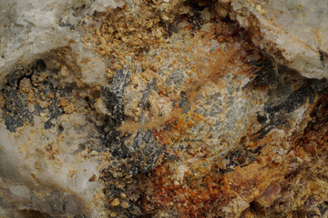 Macro degraded minerals and microplants from Khibiny — weathering and soil formation processes. Valuable for science, education and research in geoecology