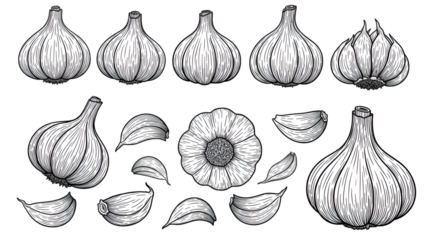 Black and White Garlic Illustrations on Black Background