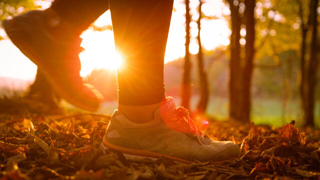 LENS FLARE, DOF, CLOSE UP: Person in sports shoes walks through fallen leaves in autumn forest. Bright golden sunlight illuminates the moving leaves lifted by feet as they walk along sunlit path. - Powered by Adobe