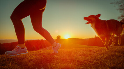 LOW ANGLE VIEW, SILHOUETTE, LENS FLARE: Athletic woman jogs across the scenic autumn meadow followed by her playful brown dog in golden sunrise. Healthy and joyful activities with furry pet in nature.
