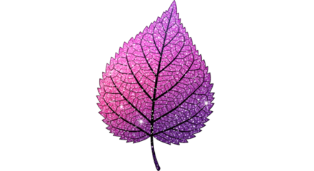 Glittering Pink and Purple Leaf Skeleton on Black Background