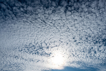 Mackerel sky: altocumulus clouds pattern in the bright sunlight and blue sky