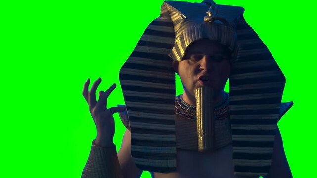 Pharaoh of Egypt The man in the suit Ancient Egyptian pharaoh Tutankhamun Ramses on a green background