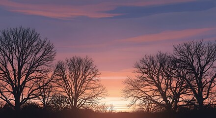 Sunset over bare trees silhouette against colorful sky.