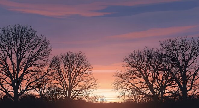 Sunset over bare trees silhouette against colorful sky.