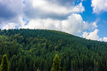 A lush green forest covers a hillside under a blue sky with fluffy white clouds. The scene captures the beauty of nature and tranquility.