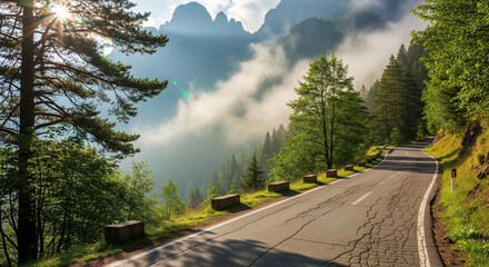 Scenic mountain pass road winding through a sunlit pine forest with beautiful morning light and mist over the valley below