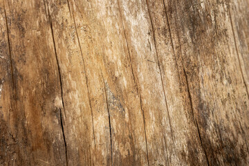 Fototapeta premium Close-up of weathered wooden planks with a rustic texture. The wood displays natural grain patterns and variations in color, showcasing its aged appearance.