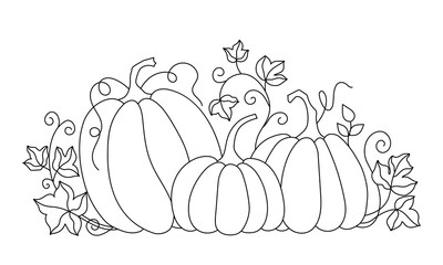 Autumn pumpkins with leaves. Outline drawing on a white background.
