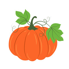 Hand-drawn pumpkin with leaves. For autumn holidays.