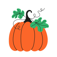 Hand-drawn pumpkin with leaves. For autumn holidays.