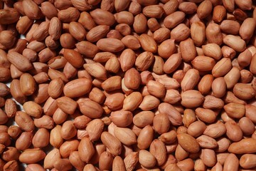 close up of peanuts