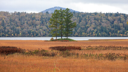 秋の尾瀬、草モミジの紅葉に包まれた尾瀬ヶ原と尾瀬沼トレッキング、群馬県,日本