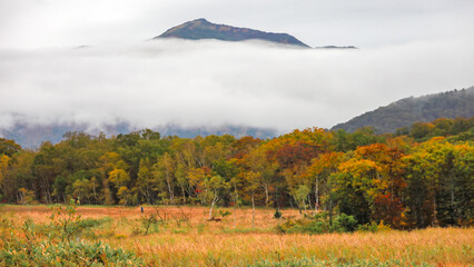 秋の尾瀬、草モミジの紅葉に包まれた尾瀬ヶ原と尾瀬沼トレッキング、群馬県,日本
