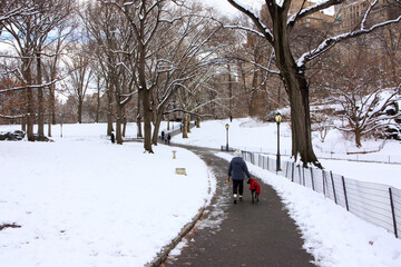 A man and his dog are walking in Central Park in New York City on a winter day