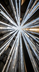 Skyward Gaze - A Forest of Bamboo Reaching for the Light.