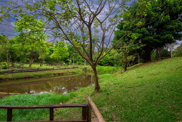 View of Botanical Garden in Goiania, Brazil