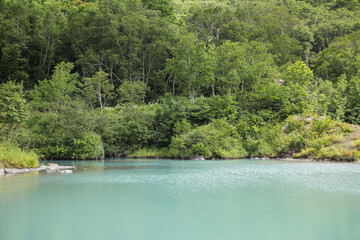 青く美しい沼