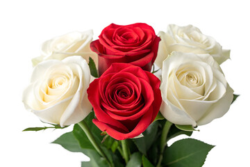 Fototapeta premium Red and White Roses Isolated on Transparent Background PNG