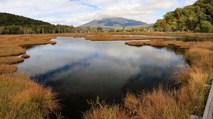 秋の尾瀬、草モミジの紅葉に包まれた尾瀬ヶ原と尾瀬沼トレッキング、群馬県,日本