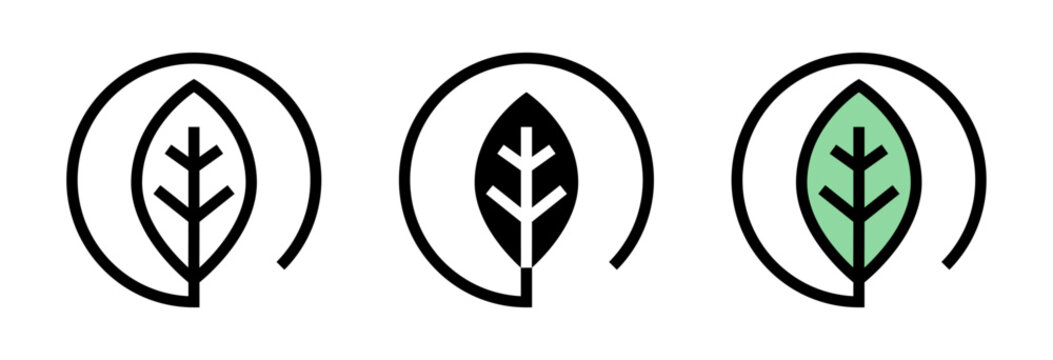 Conjunto de iconos de hoja ecol&oacute;gica. Naturaleza, sostenibilidad, responsabilidad ambiental. Ilustraci&oacute;n vectorial
