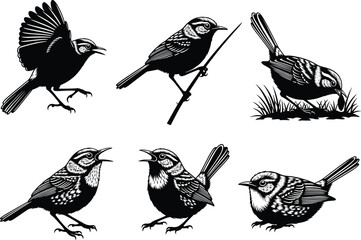 Black bird silhouette illustration set, songbird vector collection, flying and perched small birds, detailed wildlife graphic, nature design, white background