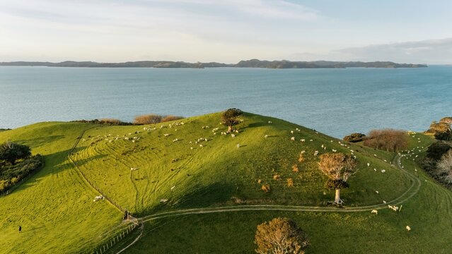 Aerial View from Ocean, Beach, Green Trees and Mountains in Duder Regional Park, New Zealand - Auckland Area