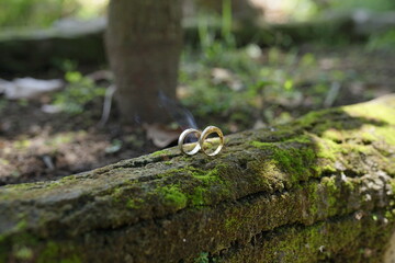 Two golden wedding rings resting on a moss-covered stone, symbolizing love and commitment