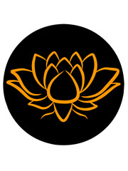 vector illustration of a flower