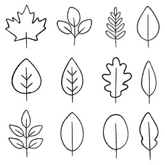 Simple doodle leaf outline illustration set