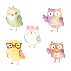 Cute Watercolor Owl Collection
