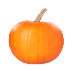 One whole ripe pumpkin isolated on white