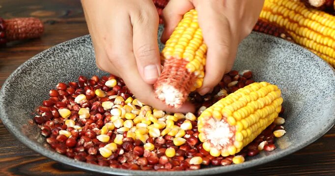 Woman shelling kernels from yellow corn cob at table, closeup