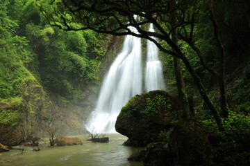 Tam Nang Waterfall is another beautiful waterfall of Phang Nga Province with clear water, lots of fish, shady and surrounded by beautiful nature. 
Sri Phang Nga National Park, THAILAND