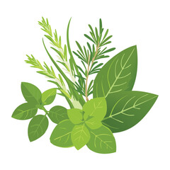Assorted Aromatic Green Herbs Leaves Illustration Different Shapes and Textures Minimalist Botanical Vector Graphic