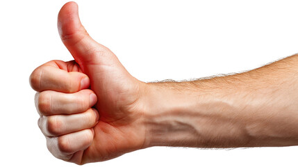 Thumb up: This image shows a hand with its thumb raised, conveying approval and encouragement in a simple and direct manner. 