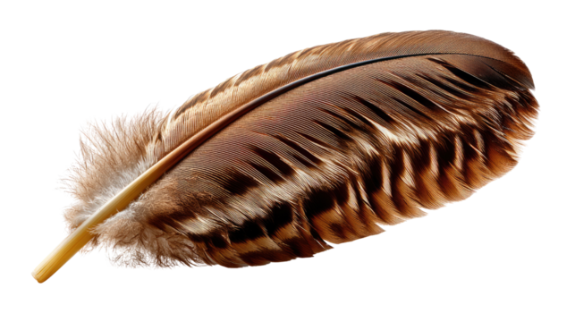 Feather's Gentle Embrace: An up-close view of a single, elegantly curved feather, its intricate patterns and soft textures. The feather seems to float weightlessly.