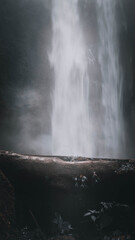 waterfall with aesthetic views in nature