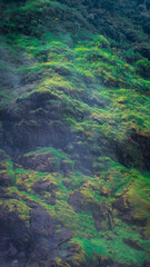 cliffs with grass and moss growing